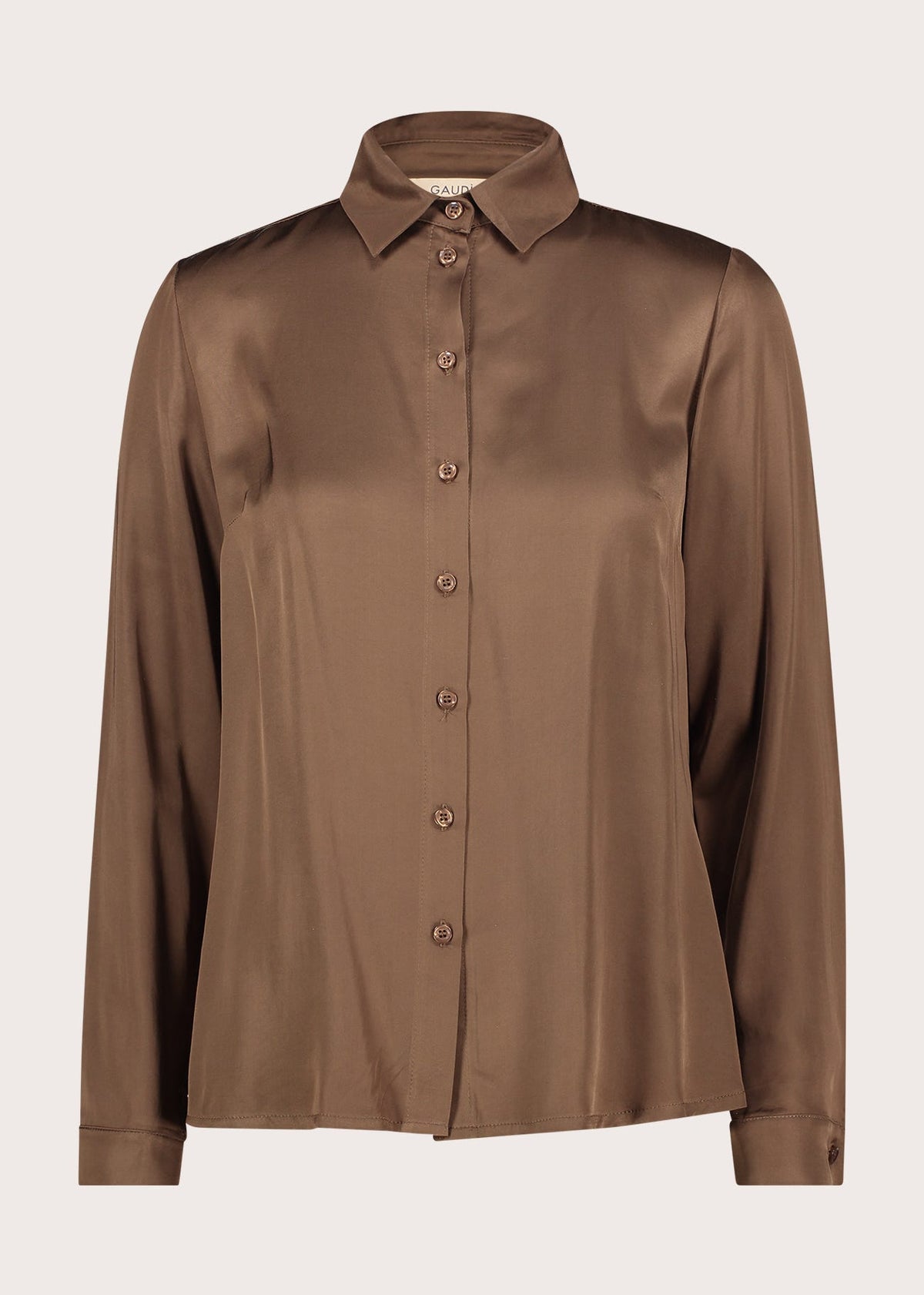 Camicia da donna con maniche lunghe
